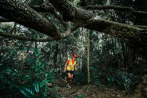 BIB: 
                            <button type="button" onclick="openModal(25706249)" class="btn btn-primary btn-sm float-right btn-popup" data-toggle="modal" data-target=".modal-high-quality">
                        <i class="fas fa-shopping-cart"></i> Add to Cart
                    </button>
                                            <button type="button" onclick="isThisMe(25706249, true)" class="btn btn-success btn-sm float-right btn-popup btn-isme hidden" data-toggle="tooltip" data-placement="bottom" title="นี่คือรูปของคุณใช่ไหม คลิกที่นี่เพื่อเอาเข้าอัลบั้ม">
                        <i class="fas fa-plus"></i> Add to album
                    </button>
                    <button type="button" onclick="isThisMe(25706249, false)" class="btn btn-warning btn-sm float-right btn-popup btn-isnotme hidden">
                        <i class="fas fa-ban"></i> Remove from album
                    </button>